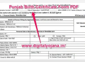 Punjab Birth Certificate Form PDF